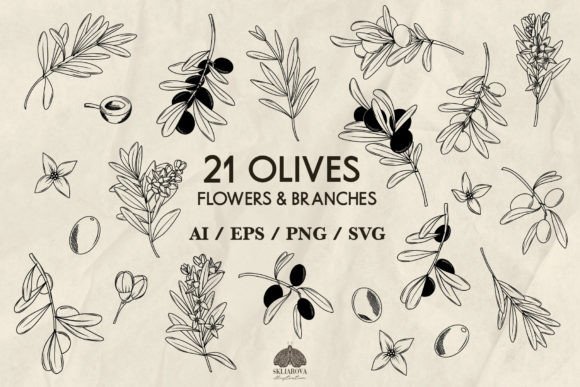 Olive Branches SVG PNG EPS