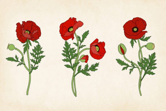 Poppy Plant Embroidery Design